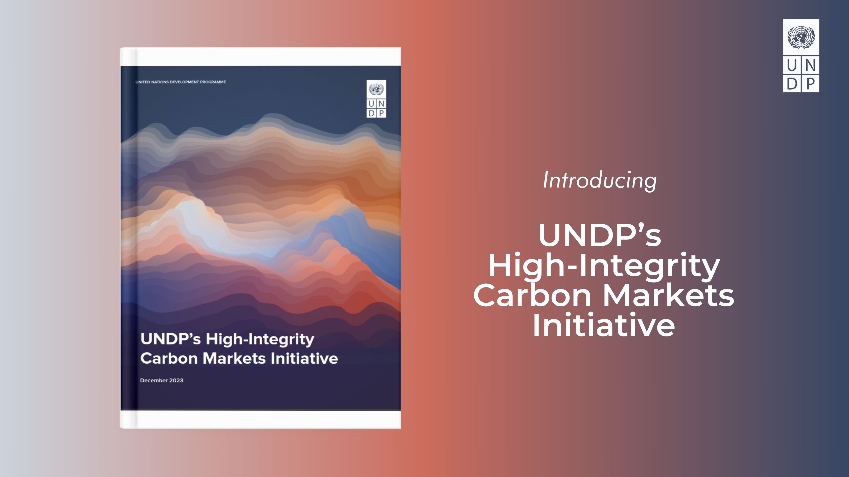 Undp S High Integrity Carbon Markets Initiative Climate And Forests